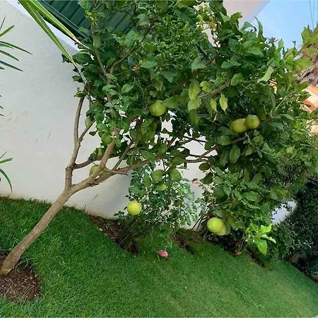 Maison De La Marina Piscine Holiday home *