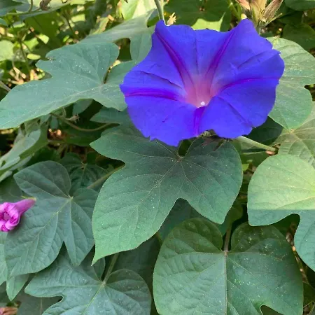 Maison De La Marina Piscine *