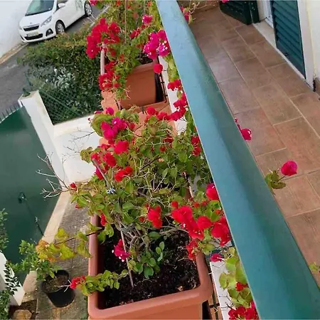 בית נופש Maison De La Marina Piscine *