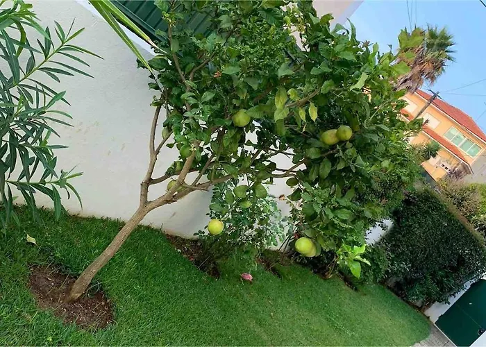 Maison De La Marina Piscine Tatil Evi *